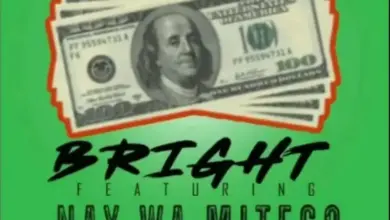 Bright ft Nay Wa Mitego – Salio