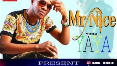 Mr Nice – Yaya