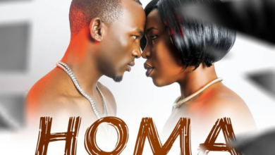 Stellina x Foby – Homa