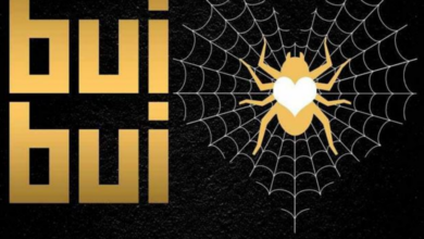 Steve RNB – BuiBui