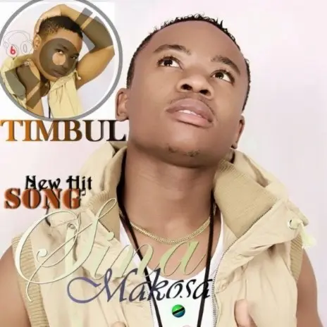 Timbulo – Sina Makosa