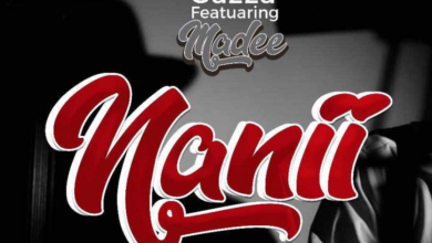 Gazza ft Madee – Nani