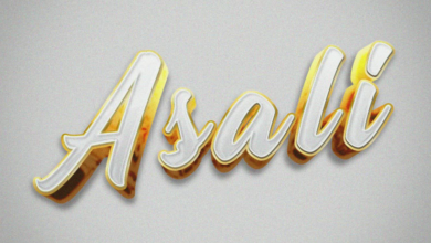 Geniusjini X66 – Asali