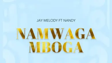 Jay Melody ft Nandy – Namwaga Mboga
