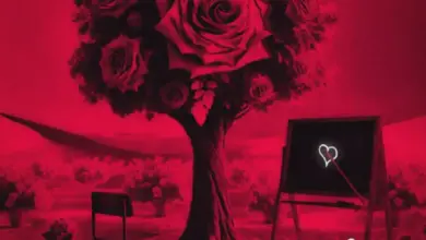 Masauti ft Jay Melody – Shule