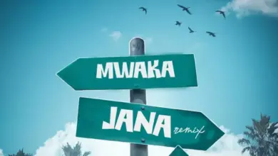 Vax tz ft Chino Kidd & Mr. Nobody Tz – Mwaka Jana (Remix)