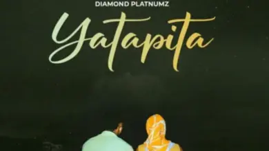 Diamond Platnumz – Yatapita