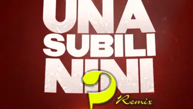 Kidochu Mc ft Chino Kidd – Unasubili Nini (Remix)