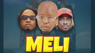 Dulla Makabila ft Ndaro X Mack Zube – Meli Ya Abaya