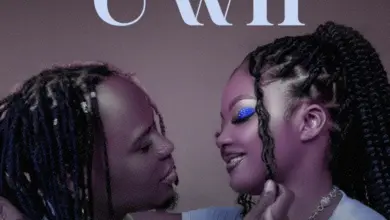 Geniusjini X66 – Uwii