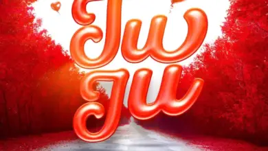 Tommy Flavour ft Marioo – Juju