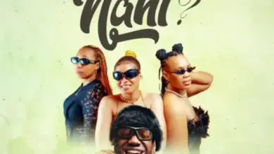 Wamoto Music ft Chino kidd – Nani