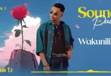 Aslam Tz – Wakuniliza (Acoustic)
