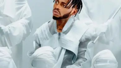 Diamond Platnumz – Nitakusifu Milele