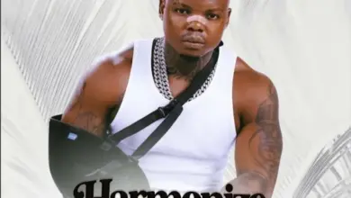 Silver Madollar – Harmonize Unanisikia