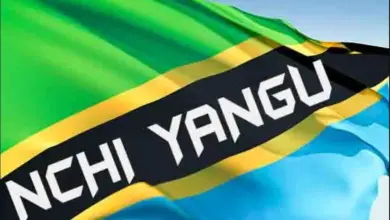 Tanzania Artists – Nchi Yangu