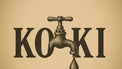 Vanillah ft Ibraah – Koki