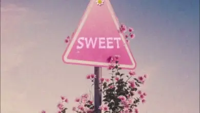 Bruce Africa – Sweet