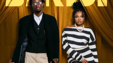 D Voice X Zuchu – Baridi