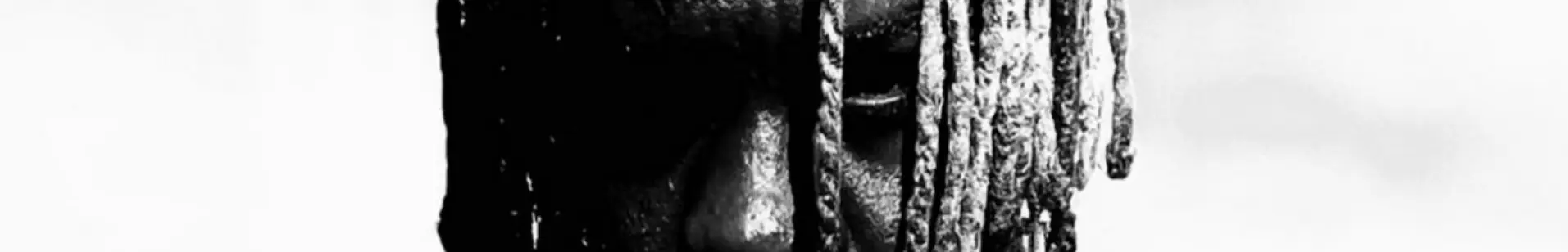 Geniusjini X66 Cover