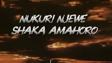 Bad Kids ft Marioo – No love