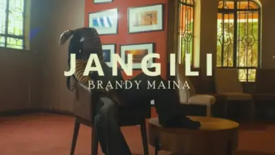 Brandy Maina – Jangili