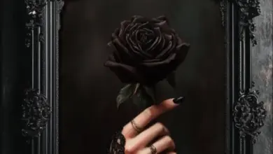 Dayoo – RIP Mapenzi