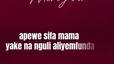 Echo 254 – Meri Jaan