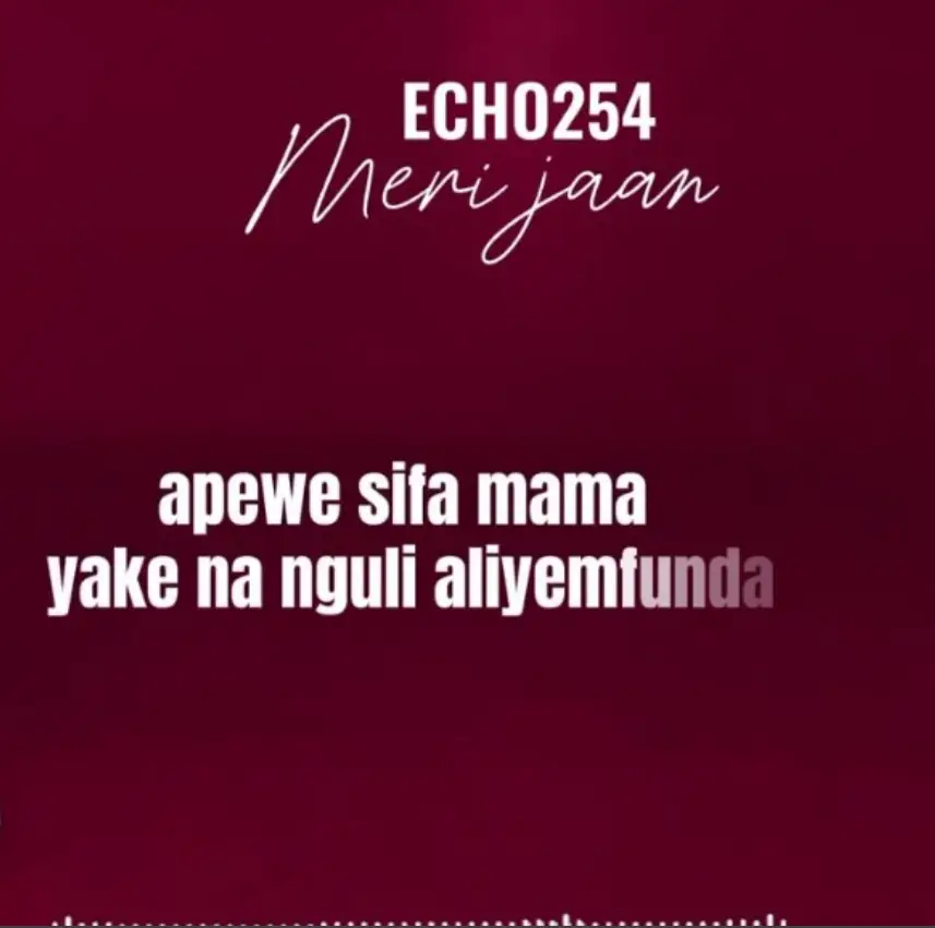 Echo 254 – Meri Jaan