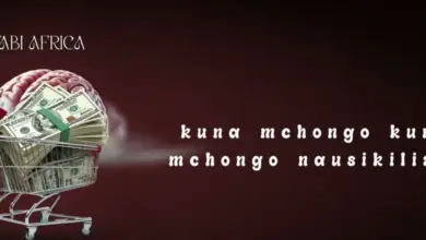 Fabi Africa – Mchongo