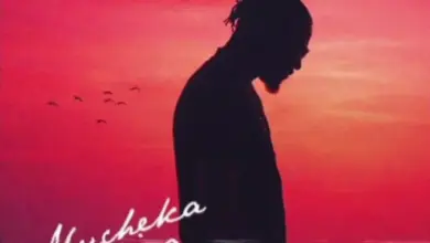 Jah Prayzah – Mucheka Wejira