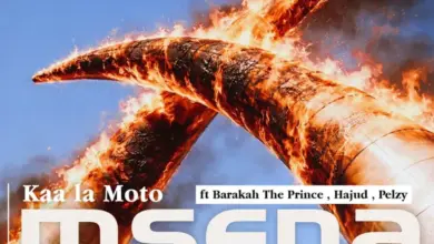 Kaa La Moto ft Barakah The Prince, Hajud & Pelzy – Msena