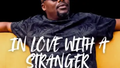 Mad Ice – In Love With A Stranger
