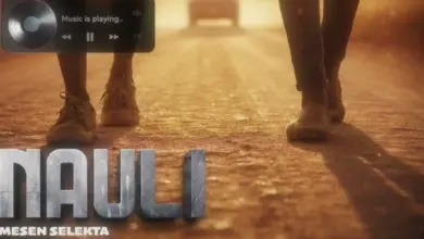 Mesen Selekta – Nauli