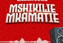 Msaga Sumu – Mshikilie