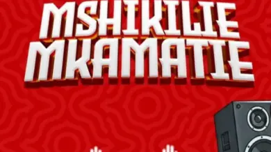 Msaga Sumu – Mshikilie