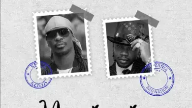 Nameless X Marioo – Nasinzia II