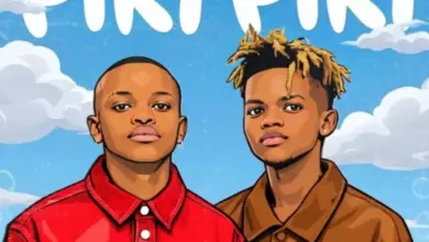TNK MusiQ ft Ase Brown & Mphoet – Piki Piki