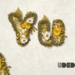 Udede X Sanja Kong – Yu