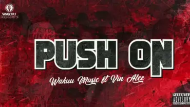 Wakuu Music ft Vin Alex – Push On