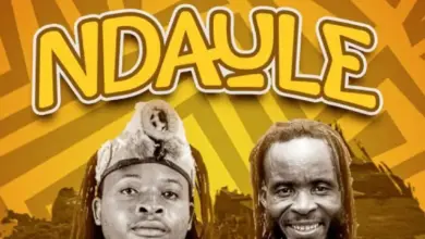 Wamwiduka Band – Ndaule