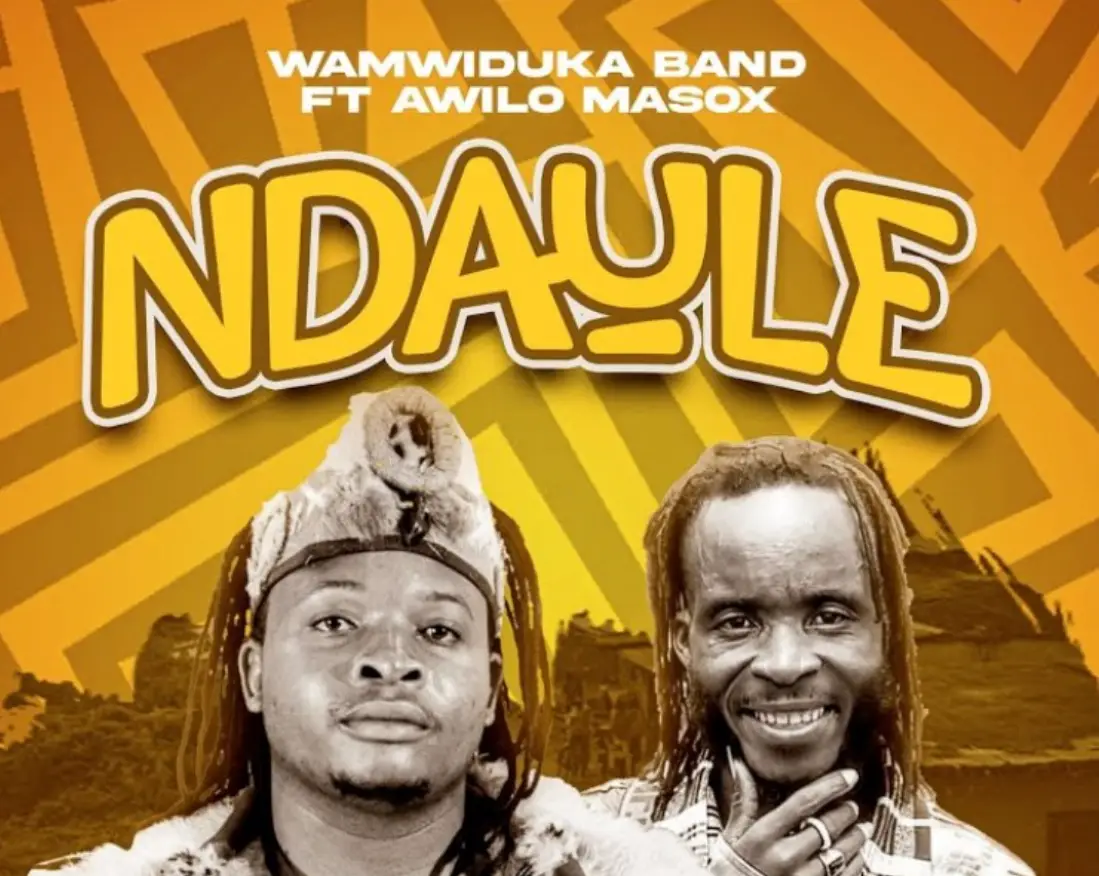 Wamwiduka Band – Ndaule