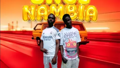 Wando ft Pako – Ungeniambia