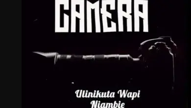 20 Percent – Camera