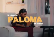 B Classic X Mr Seed – Paloma