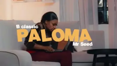 B Classic X Mr Seed – Paloma