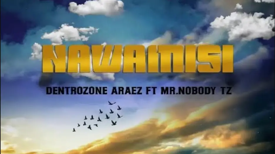 Dentrozone Araez ft Mr Nobody Tz – Nawamisi