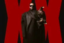 Fally Ipupa – Cinéma