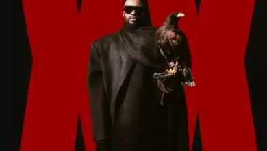 Fally Ipupa – Cinéma