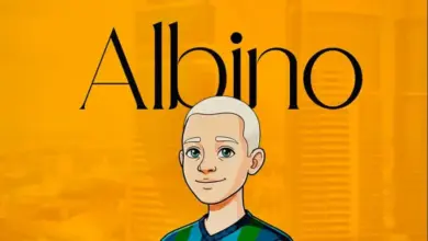 K Zungu ft Tinko Mabao – Albino